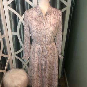 LOFT Classic Shirt Dress in Snakeskin Print